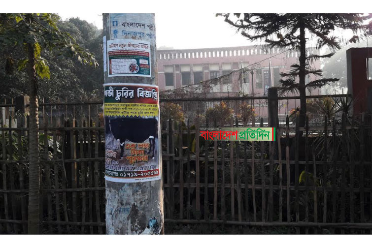 চুরি হওয়া গরু ফিরে পেতে পোস্টার