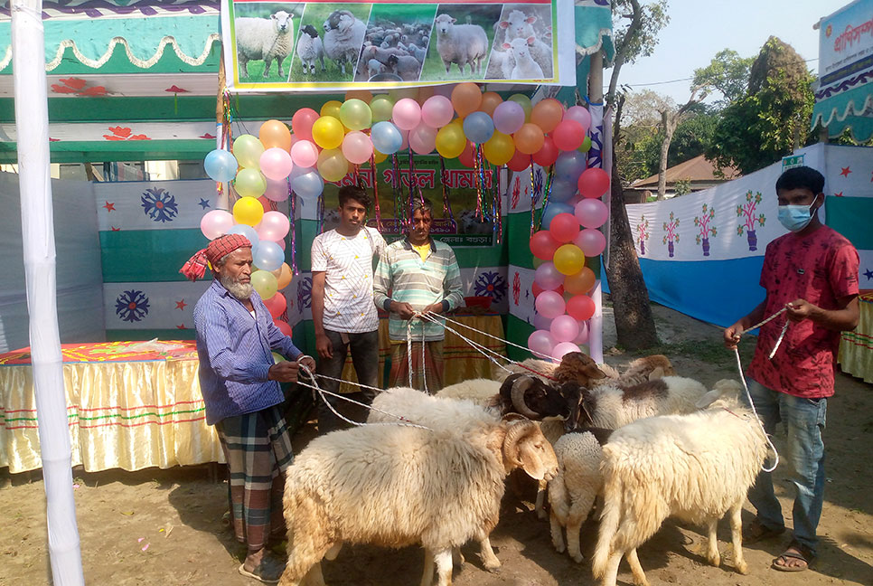 মেলায় প্রধান আকর্ষণ মরুর দেশের গারল