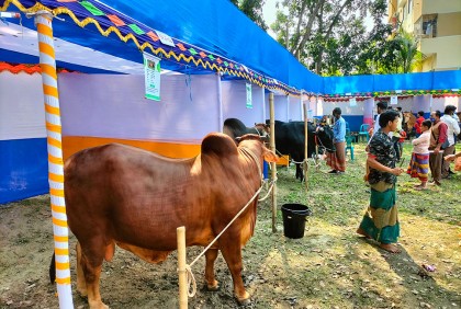 কিশোরগঞ্জে দিনব্যাপী প্রাণিসম্পদ প্রদর্শনী
