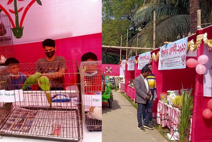 কালিয়াকৈরে প্রাণিসম্পদ প্রদর্শনী অনুষ্ঠানের আয়োজন