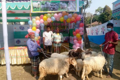 মেলায় প্রধান আকর্ষণ মরুর দেশের গারল