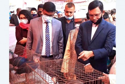 কাপাসিয়ায় প্রাণিসম্পদ প্রদর্শনী অনুষ্ঠিত
