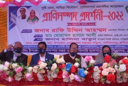 নাসিরনগরে দিনব্যাপী প্রাণিসম্পদ প্রদর্শনী মেলা অনুষ্ঠিত