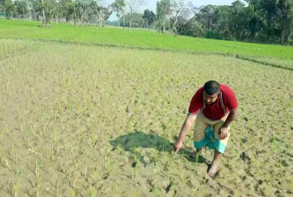ফুলপুরে গভীর নলকূপ নষ্ট, কৃষকদের মাঝে হাহাকার 