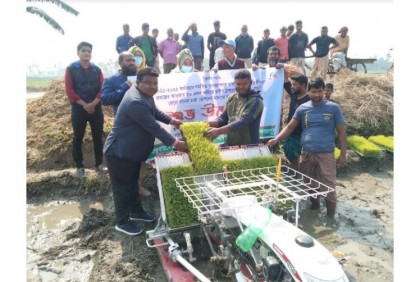 খানসামায় রাইস ট্রান্সপ্লান্টারে 
ধানের চারা রোপণ