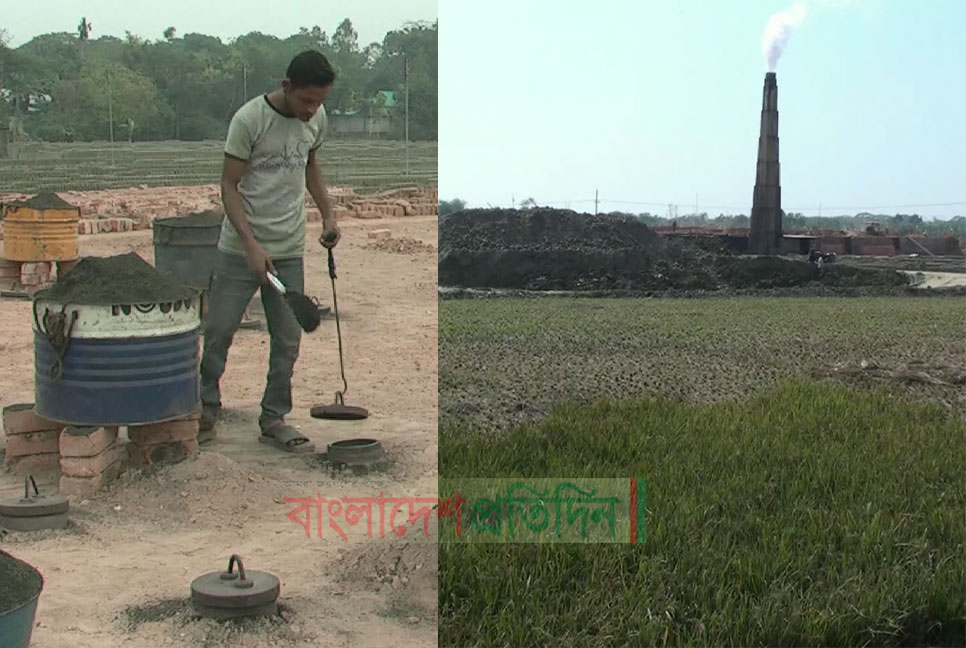 অবৈধ ইট ভাটায় ক্ষতিগ্রস্ত নেত্রকোনার কৃষি জমি