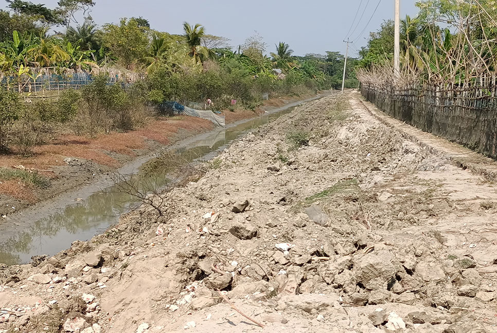 মোংলায় ছাত্রলীগ নেতার মাছের ঘের লুট, ভাঙচুরের অভিযোগ