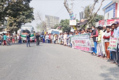 কুড়িগ্রামে আলু চাষীদের মানববন্ধন