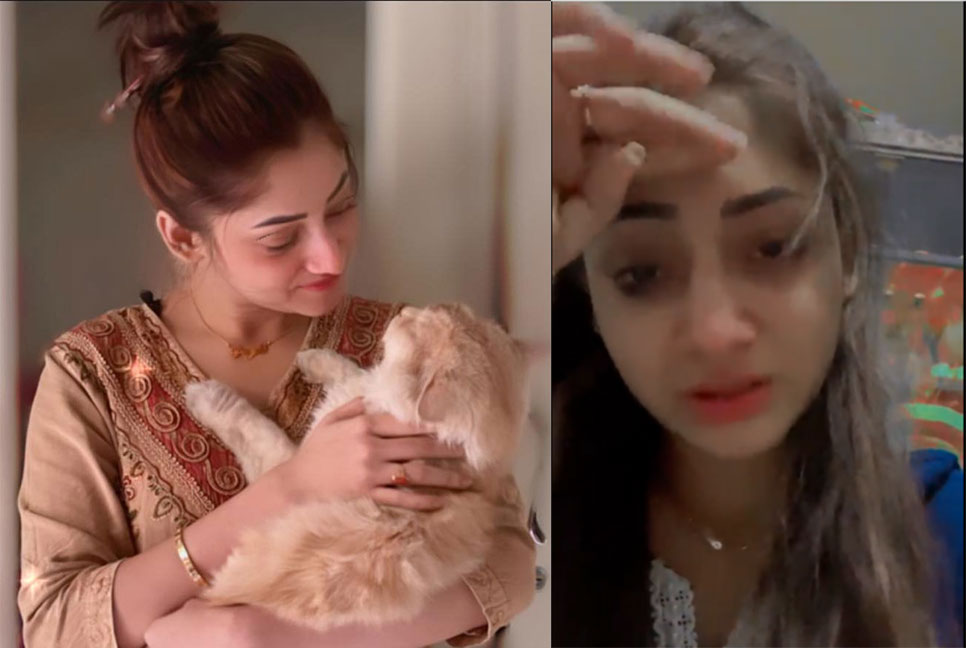 হঠাৎ লাইভে এসে কাঁদলেন পূজা চেরি