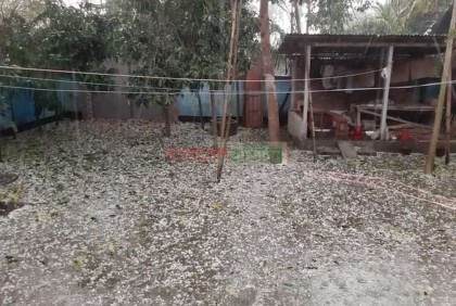 ঠাকুরগাঁওয়ে হঠাৎ শিলাবৃষ্টি, ফসলের ব্যাপক ক্ষতি