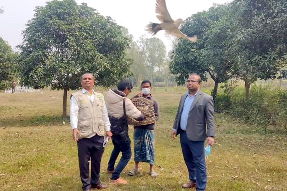 ঠাকুরগাঁওয়ে পার্ক থেকে বানর ও ঘুঘু উদ্ধার, পরে অবমুক্ত
