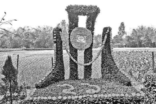 ভাষা শহীদদের শ্রদ্ধাভরে স্মরণ