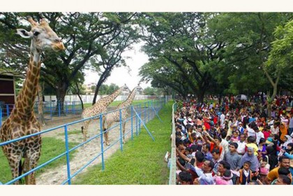 চিড়িয়াখানায় মানুষের ঢল, অভিভাবকের হাত ফসকে হারিয়ে গিয়েছিল ৪০ শিশু!


