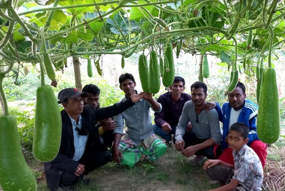 ব্রাহ্মণবাড়িয়ায় সফল কৃষকদের নিয়ে মাঠ দিবস অনুষ্ঠিত