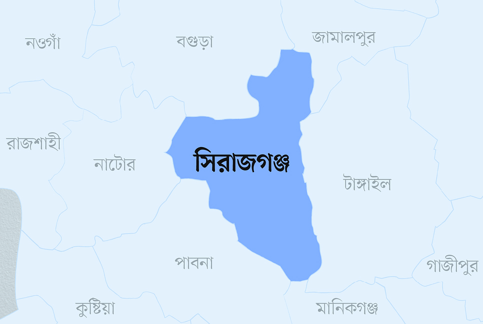 মৌমাছির কামড়ে আহত শতাধিক, আইসিইউতে শিশু