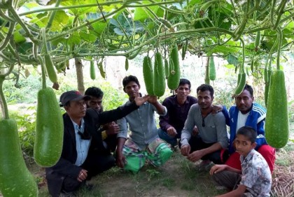 ব্রাহ্মণবাড়িয়ায় সফল কৃষকদের নিয়ে মাঠ দিবস অনুষ্ঠিত