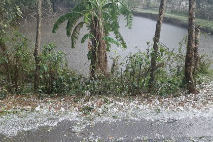 মাগুরার শালিখায় ঝড়ো হাওয়া ও শিলা বৃষ্টি