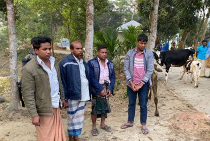 পাবনায় অস্ত্রসহ ডাকাত চক্র গ্রেফতার