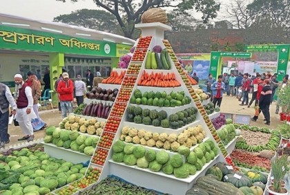 আজ থেকে তিন দিনব্যাপী জাতীয় সবজি মেলা