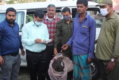 পাখি শিকার করায় যুবকের কারাদণ্ড