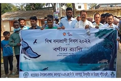 কলাপাড়ায় বিশ্ব বন্যপ্রাণী দিবস পালিত 