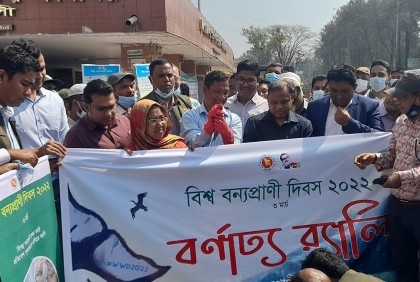 নোয়াখালীতে বিশ্ব বন্যপ্রাণী দিবসে র‌্যালি ও পাখি অবমুক্ত