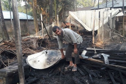 আগুনে পুড়ল খামারির স্বপ্ন