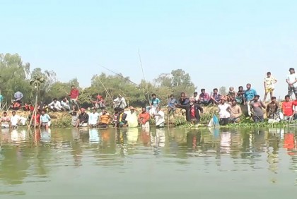 গোবিন্দগঞ্জে নির্বাচনী প্রতিশ্রুতি রক্ষায় মাছ ধরা উৎসব 