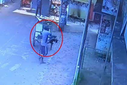 ঝালকাঠির টাউন হলে মরা কুকুর রেখে গেল পরিচ্ছন্নতাকর্মী! 