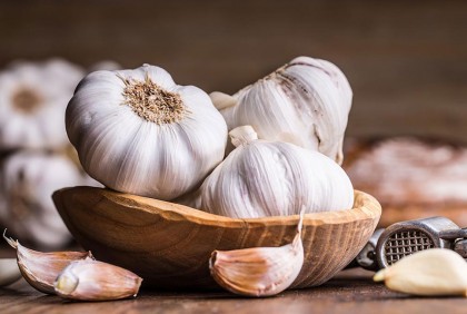 নাটোরে ২১ হাজার হেক্টর জমিতে রসুনের আবাদ