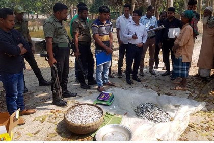 বাগেরহাটে ইলিশের পোনা বিক্রির অপরাধে মাছ বিক্রেতাকে জরিমানা  