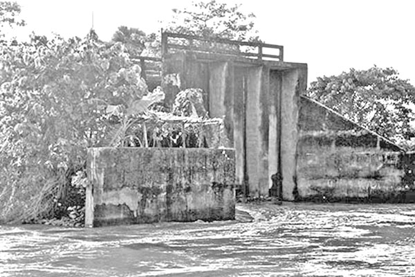 কোটি টাকার রেগুলার পরিত্যক্ত ক্ষতির মুখে কৃষক