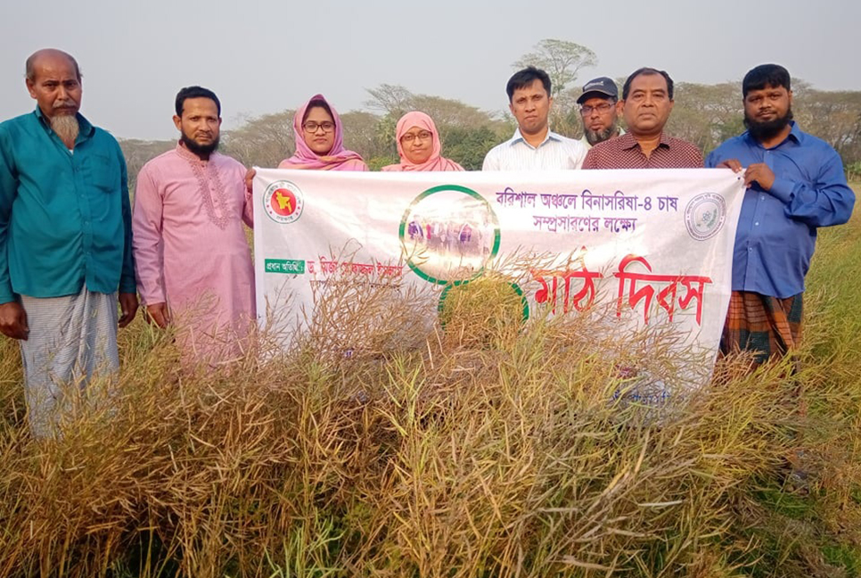 বাবুগঞ্জে বিনা সরিষা-৪ চাষ সম্প্রসারণ বিষয়ক মাঠ দিবস 