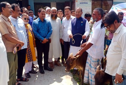 কলাপাড়ায় ১০ জেলে পেলেন বকনা বাছুর