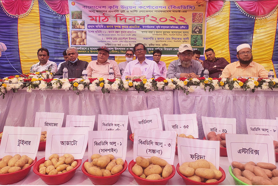 কুষ্টিয়ায় ২০ নতুন জাতের আলু চাষ করেছে বিএডিসি