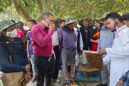 দিনাজপুরে মৌ পালন 
ও মধু উদপাদন বিষয়ক প্রশিক্ষণ 