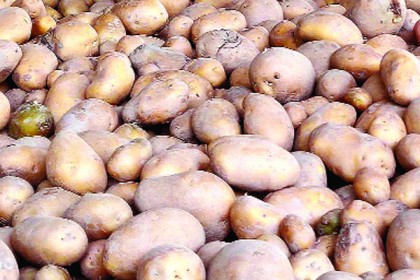 
আলুর দামও বেড়েছে