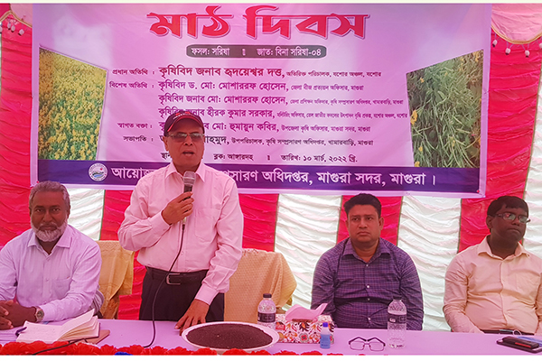 মাগুরায় বারি সরিষা-৪ জাতের মাঠ দিবস অনুষ্ঠিত