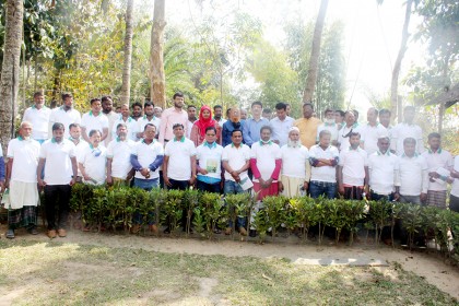 বাণিজ্যিক পেঁপে চাষের আধুনিক কলাকৌশল শীর্ষক কর্মশালা