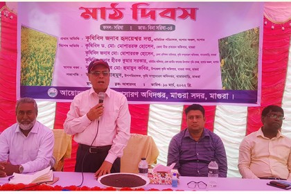 মাগুরায় বারি সরিষা-৪ জাতের মাঠ দিবস অনুষ্ঠিত