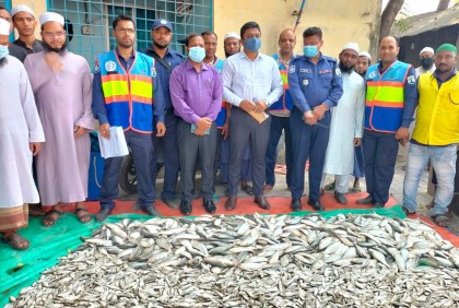 মুন্সিগঞ্জে ১২ মণ জাটকা জব্দ, আটক দুই