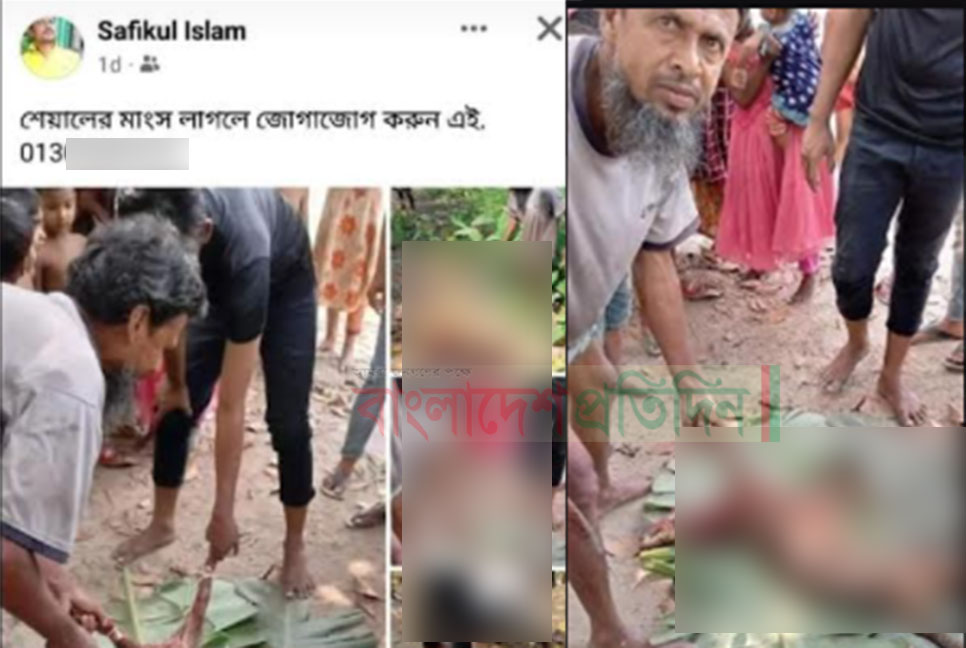 ৫শ' টাকা কেজিতে শিয়ালের মাংস বিক্রির ঘোষণা, অতঃপর...