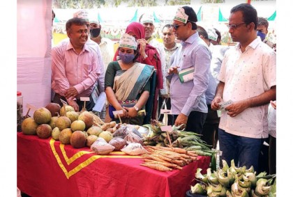 নাটোরে কৃষি প্রযুক্তি মেলা শুরু