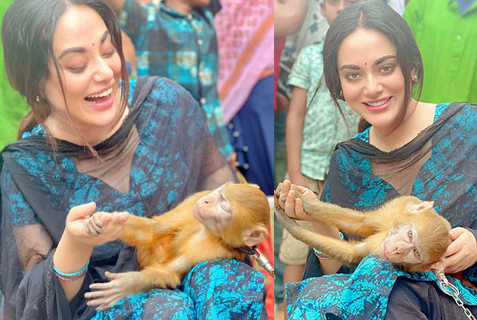 শুটিং সেটে বানরের আক্রমণে আহত তমা মির্জা, যেতে হলো হাসপাতালে