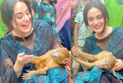 শুটিং সেটে বানরের আক্রমণে আহত তমা মির্জা, যেতে হলো হাসপাতালে