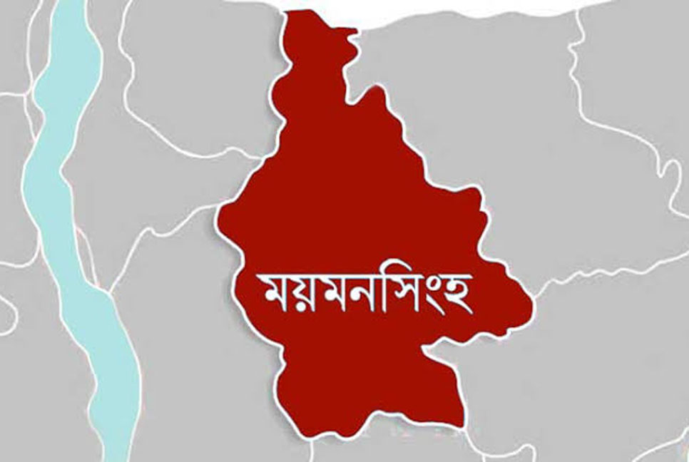 ফুফার বিরুদ্ধে ভাতিজিকে হেনস্তার অভিযোগ!