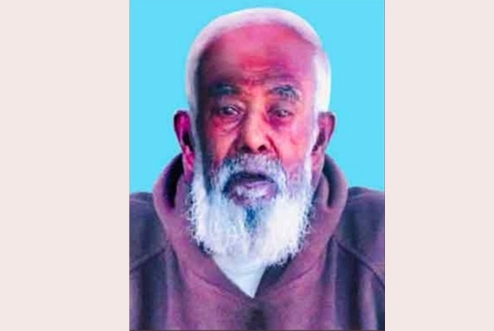 স্বাধীনতা পুরস্কারের তালিকা থেকে বাদ আমির হামজার নাম