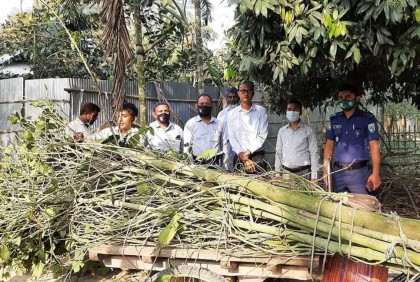 ঠাকুরগাঁওয়ে নতুন জাতের মাদক উদ্ধার, আটক ১