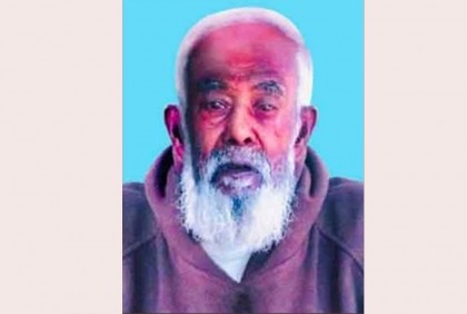 স্বাধীনতা পুরস্কারের তালিকা থেকে বাদ আমির হামজার নাম