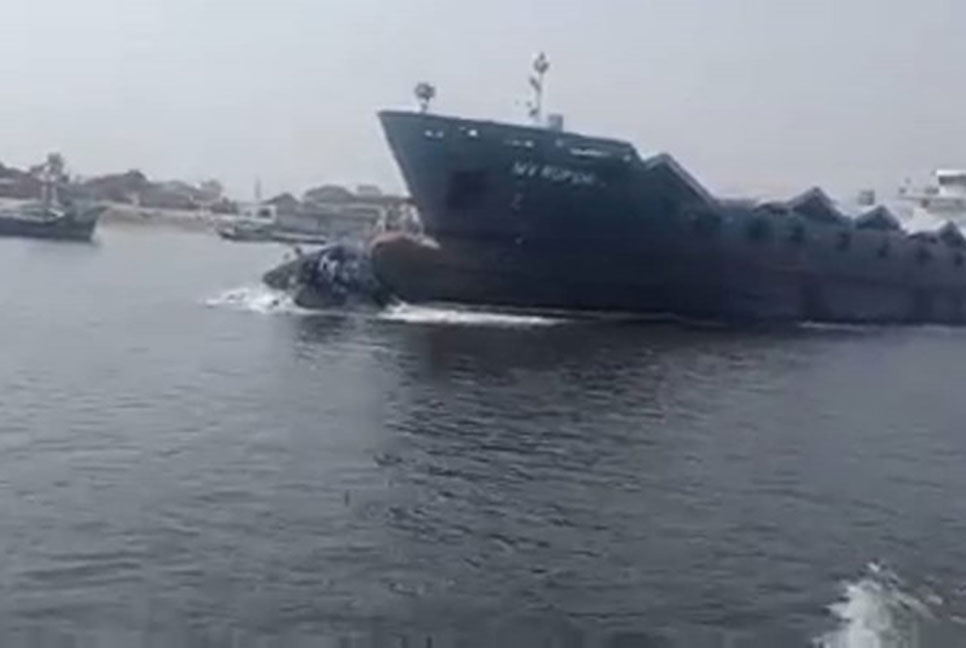 কুয়েতে যাওয়া হলো না হাতেম আলীর 